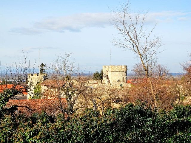 Thurnhof Castle