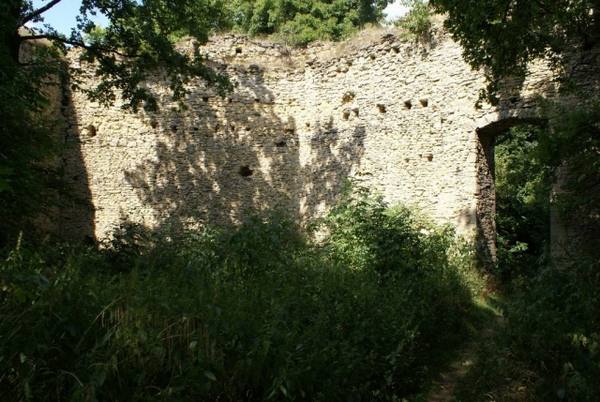Domburg Castle