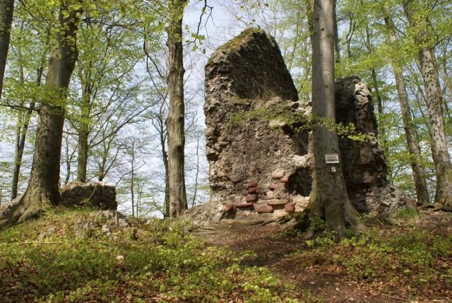Burgruine Grasburg