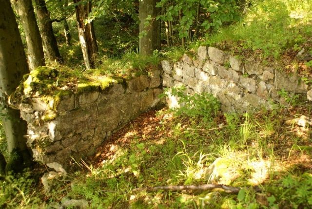 Burgruine Erichsburg