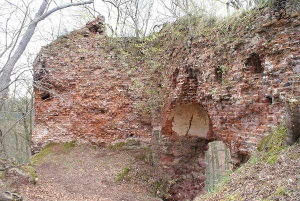 Burgruine Grillenburg