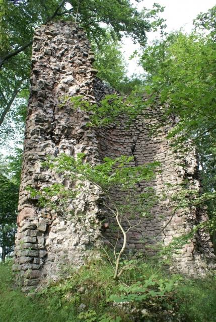 Burgruine Neu-Morungen