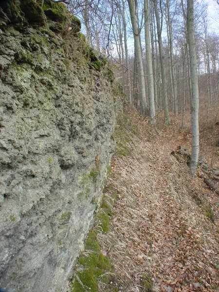 Alt-Morungen Castle