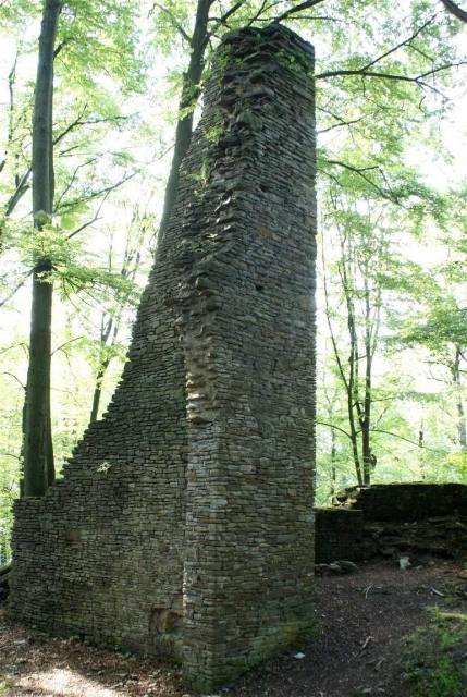 Neuenberg Castle