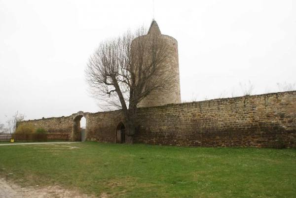 Burgruine Osterfeld