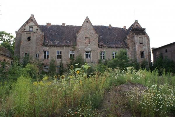 Reinsdorf Castle