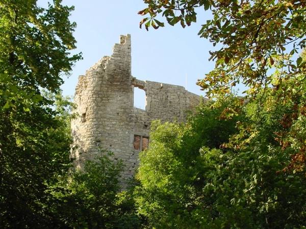 Obere Sachsenburg Castle