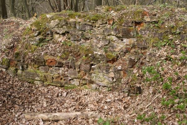 Burgruine Wippra