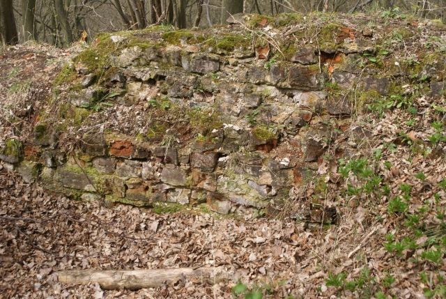 Burgruine Wippra