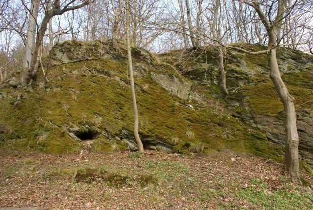 Burgrest Wolfsberg