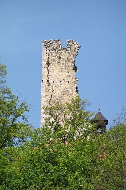 Wolfstein Castle