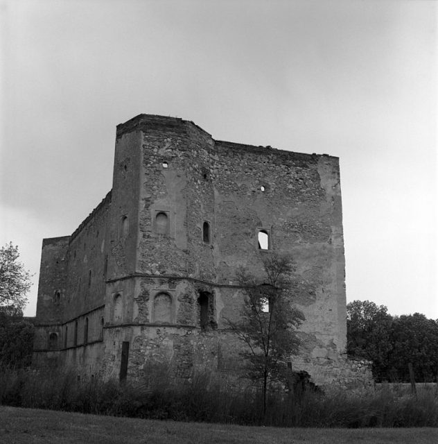 Ruin Wenzersdorf