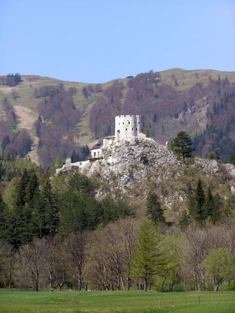 Losenheim Castle