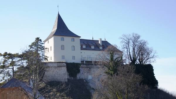 Pitten Castle