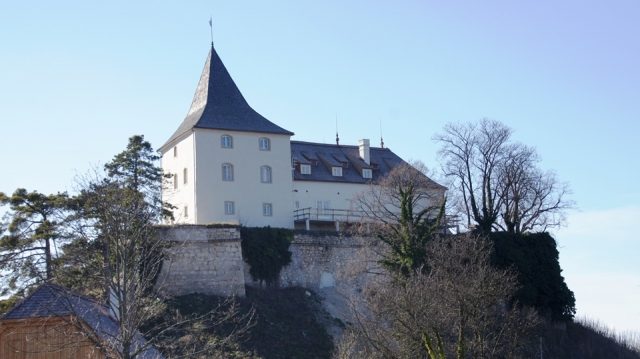 Pitten Castle