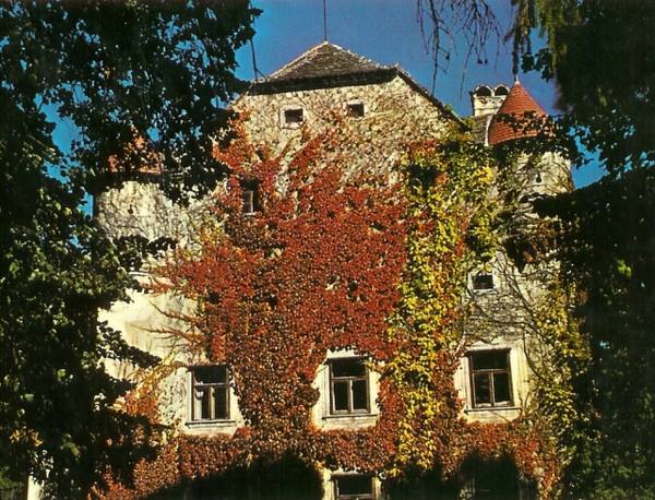Pottschach Castle