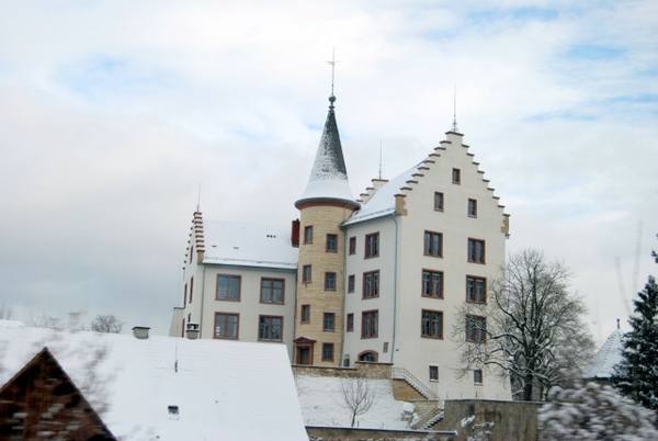 Krenkinger Castle