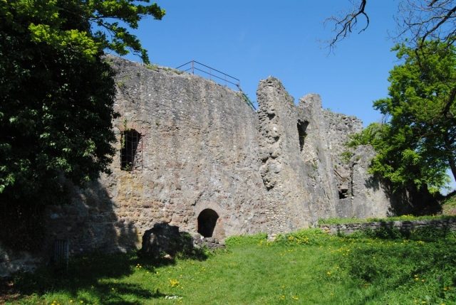 Homburg Castle