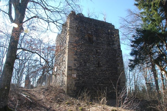 Neuhewen Castle