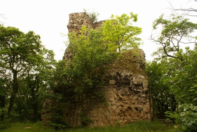 Burgruine Lauenburg