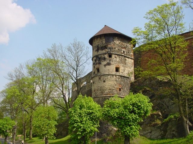 Cheb Castle (Chebský hrad)