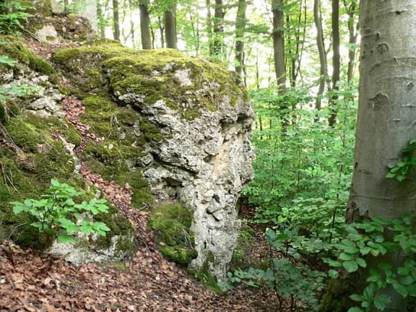 Burgruine Hallermund