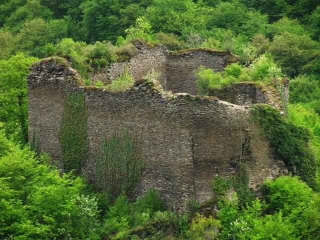 Rauschenburg Castle
