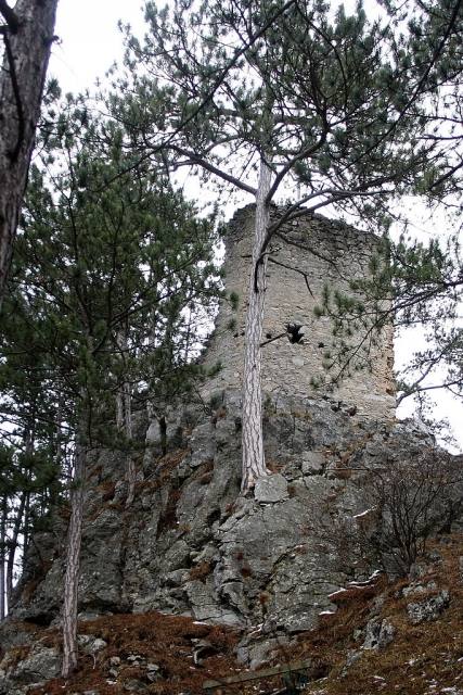 Scheuchenstein Castle