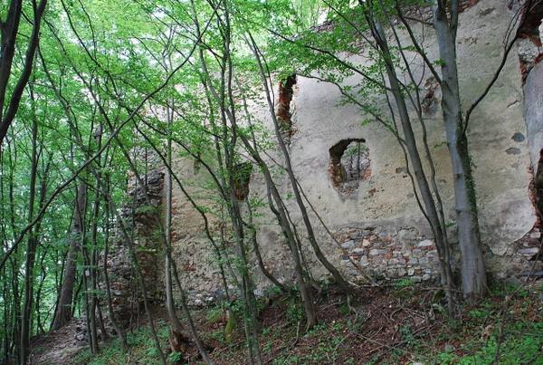 Schwarzenbach Castle