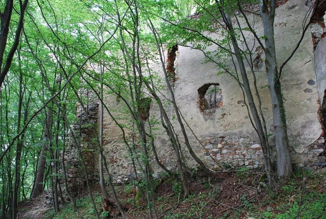 Schwarzenbach Castle