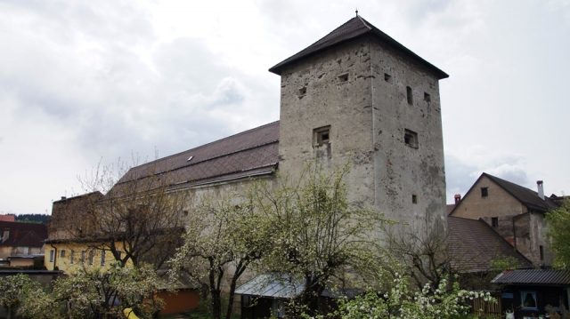 Duke Castle