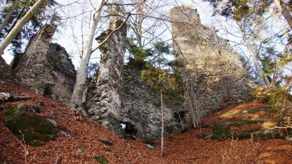 Hochwart Castle