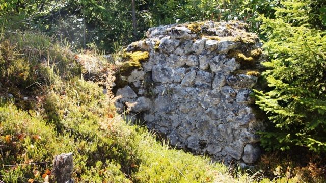Old-Ras Castle