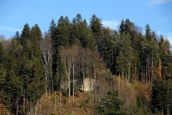 Sonnegg Castle