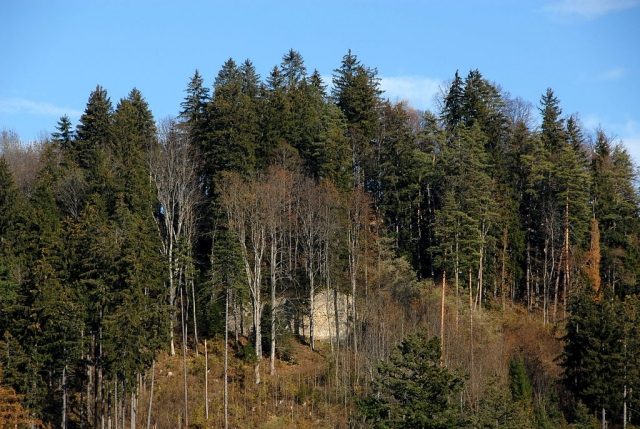 Sonnegg Castle