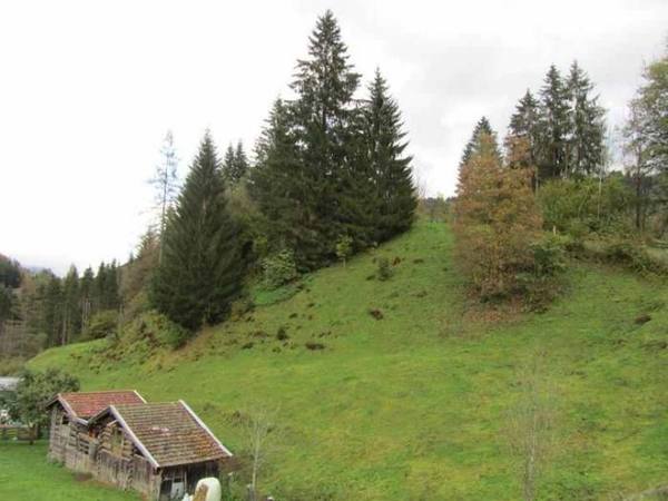 Taxenbach Castle