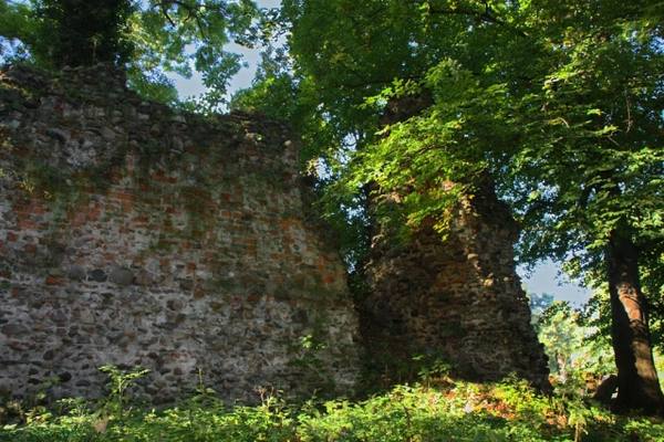 Burgruine Mesendorf