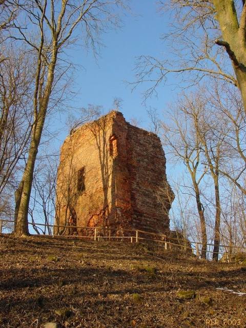 Stuer Castle