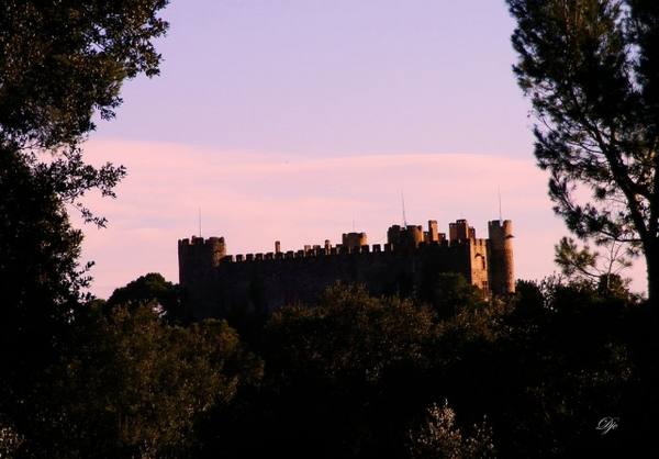 Château de Montfaucon