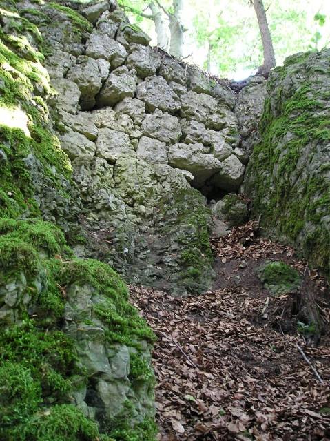 Heidenstein Castle