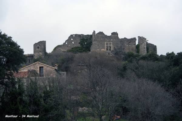 Château de Montlaur