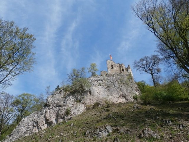 Johannstein Castle