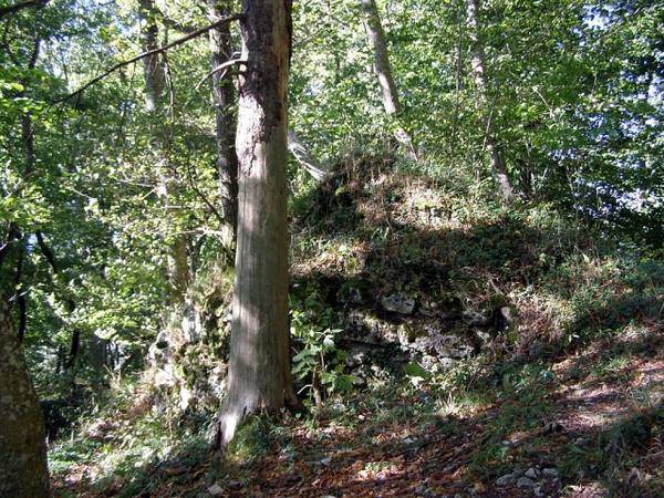Randen Castle