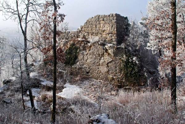 Radegg Castle