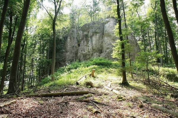Burgruine Riegelstein