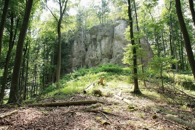Burgruine Riegelstein