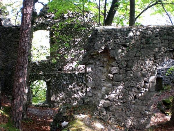 Burgruine Wildenfels