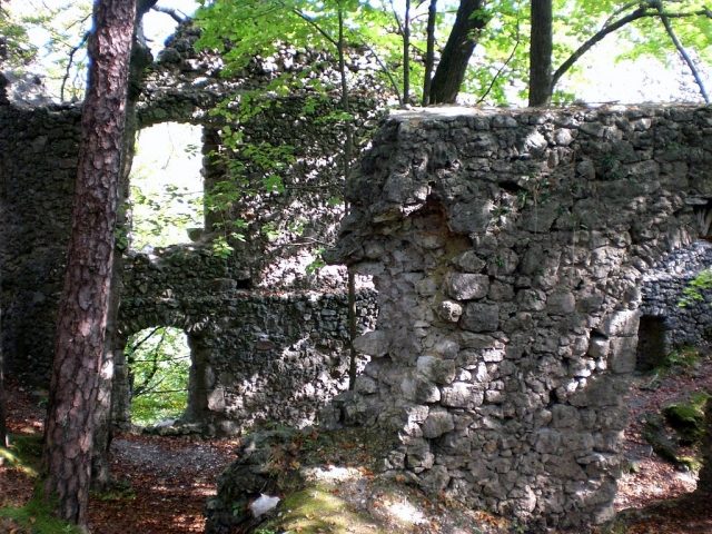 Burgruine Wildenfels
