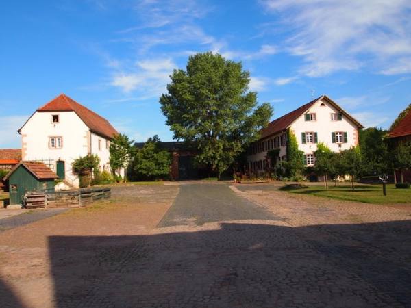 Habitzheim Manor
