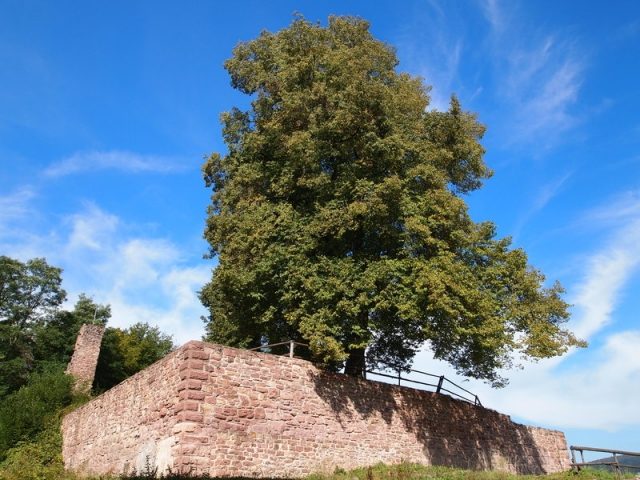 Bartenstein Castle